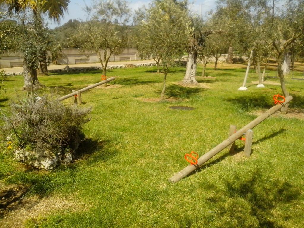 Palmariggi B&B Di Angela Scotellaro מראה חיצוני תמונה